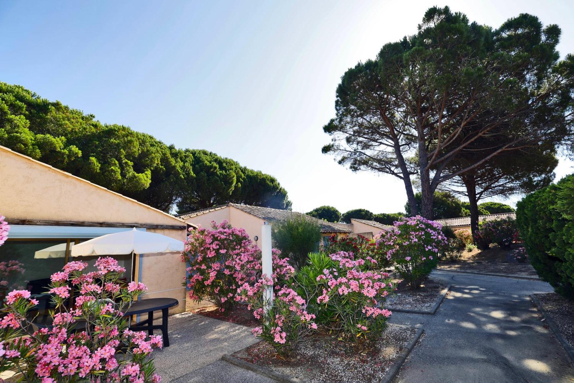 Village Vacances De Ramatuelle - Les Sentier Des Pins Bagian luar foto