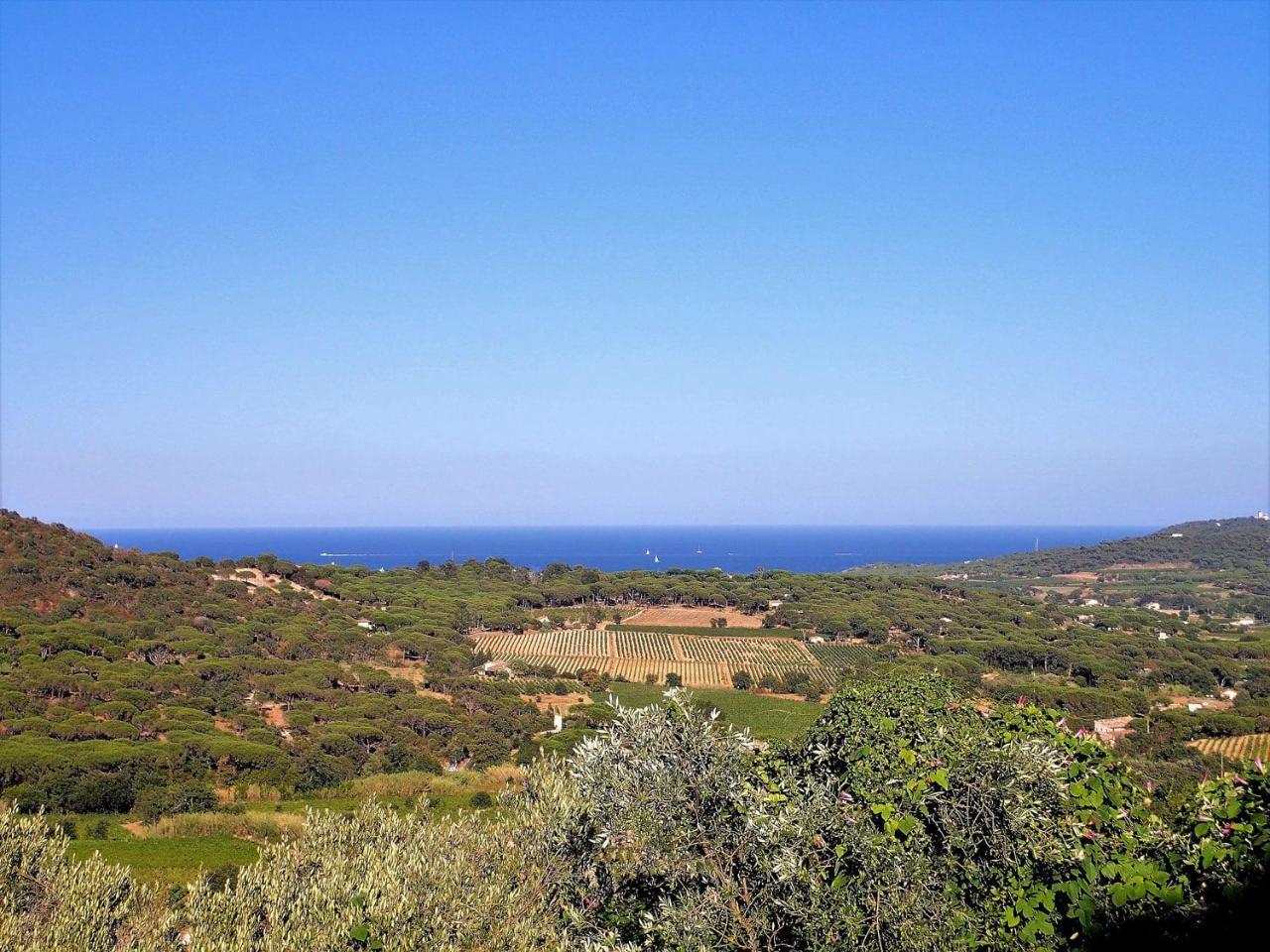 Village Vacances De Ramatuelle - Les Sentier Des Pins Bagian luar foto